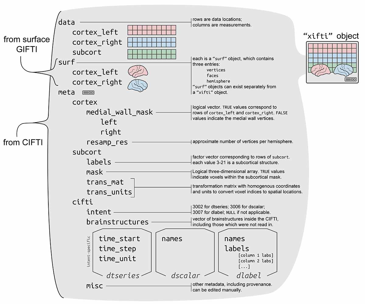 “xifti” object structure