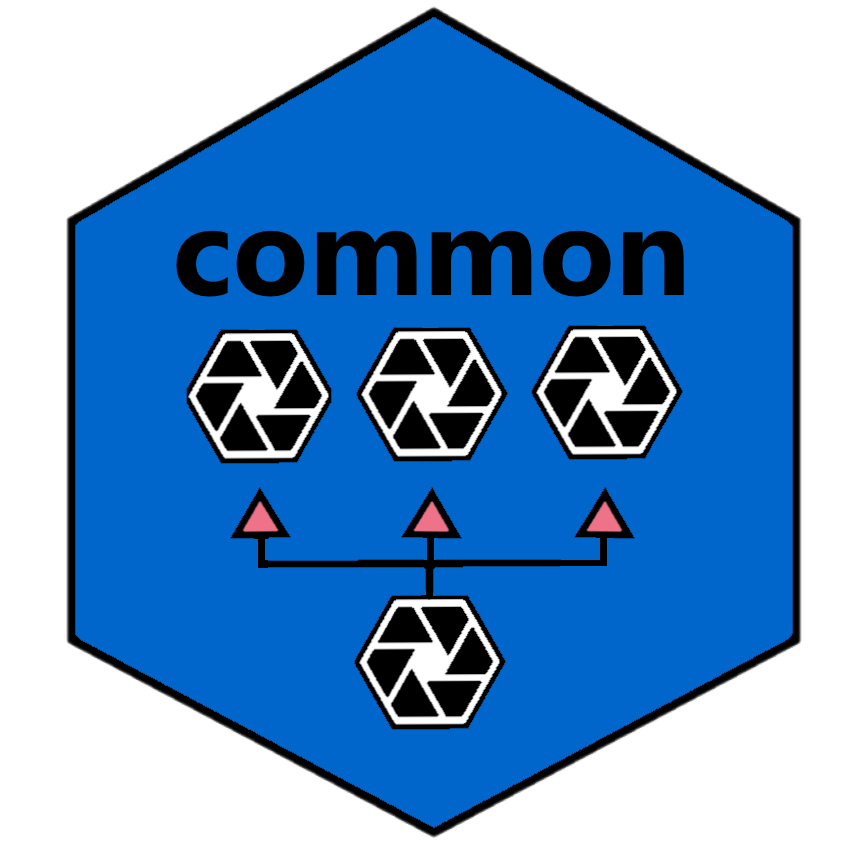 Common Package Logo