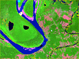 Animated SNIC seeding and segmentation over the Sentinel-2 subset.